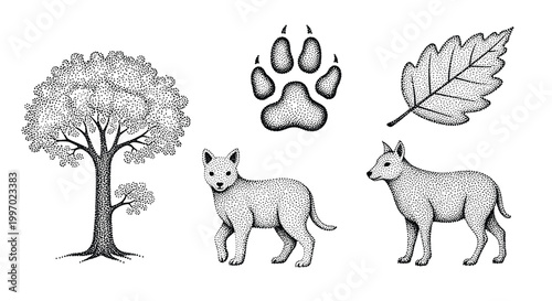 Collection of stippled illustrations featuring woodland elements and canids