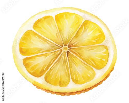 Watercolor Citrus Lemon Clipart, Summer Fruit Illustration, Isolated on White