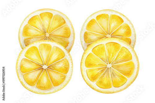 Watercolor Lemon Slice Icon, Citrus Summer Clipart, vector illustration Isolated on White background