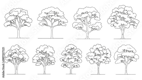 2D AutoCAD drawings of eight trees in various styles and shapes