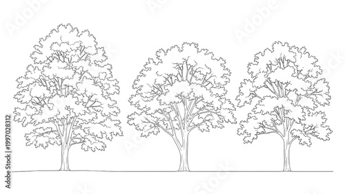 2D AutoCAD drawing of three trees in a landscape