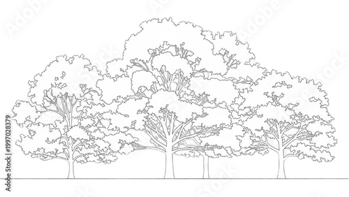 2D AutoCAD drawing of trees in a landscape