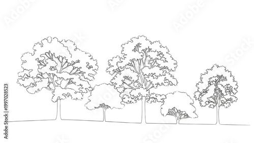 2D AutoCAD drawing of trees in a landscape illustration with foliage and trunks