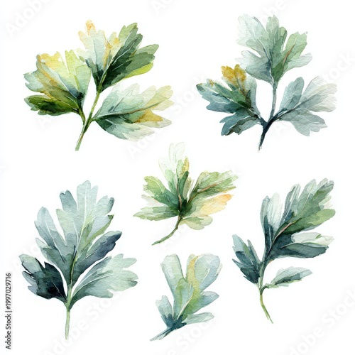 Cilantro leaves collection in watercolor style showcasing delicate greens and soft brush strokes