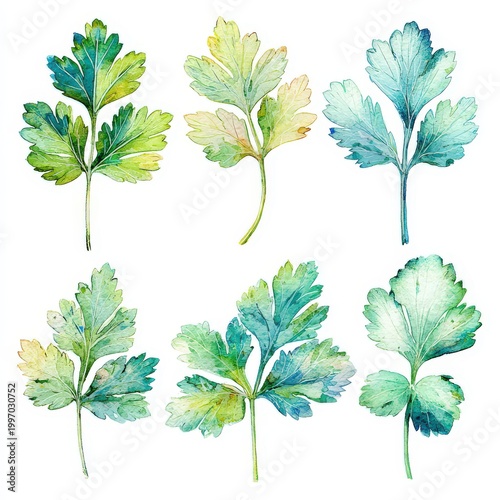 Watercolor collection of parsley leaves showcasing gentle washes and soft edges in a natural green palette