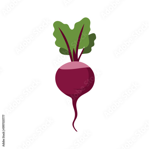 Fresh purple beet with green leaves