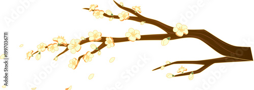 Beautiful Blossoms on Tree Branch