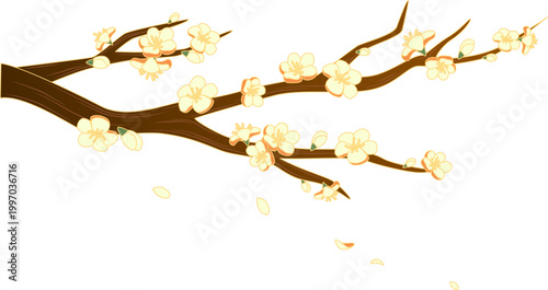 Beautiful Blossoms on Tree Branch