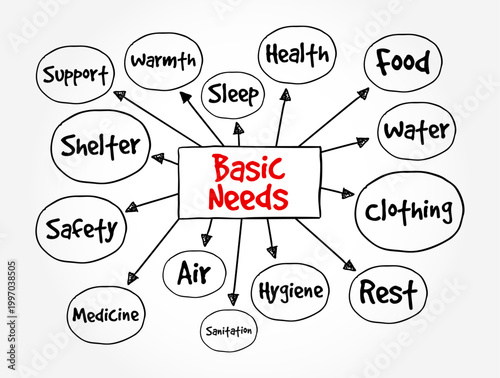 Basic Needs mind map diagram illustrating health, food, water, sleep, warmth, support, shelter, safety, medicine, air, sanitation, hygiene, rest, and clothing requirements for human survival