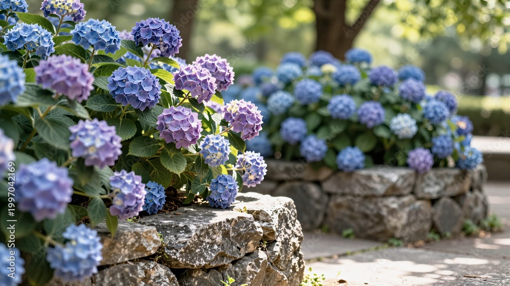 Obraz premium lilac flowers in the garden