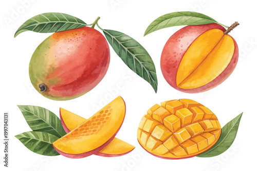 Watercolor Tropical Mango Clipart, Fresh Summer Fruit Illustration, Isolated on White