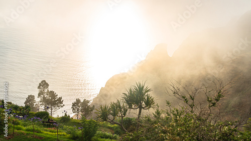 Sunlit coastal garden overlooking madeira cliffs and ocean mist | Zalany słońcem ogród przybrzeżny z widokiem na klify Madery i mgłę oceanu