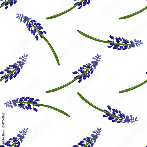 Hand drawn vintage seamless pattern of muscari grape hyacinth flowers in blue and green botanical illustration