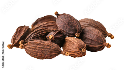 Bild auf Leinwand Dark brown cardamom pods pile close up view
