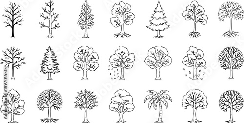 Set of diverse hand-drawn tree illustrations. Includes deciduous, evergreen, and palm trees in simple line art style, perfect for nature icons.