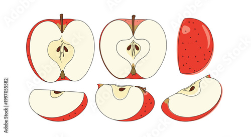 Detailed collection of apple slices includes halves and wedges showing the internal core and seeds in a natural style.