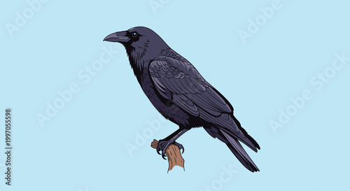 Majestic black crow is perched firmly on a weathered wooden branch against a tranquil light blue sky background.