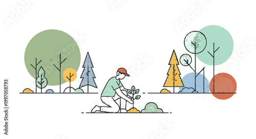 Man planting a small tree sapling in a forest environment vector