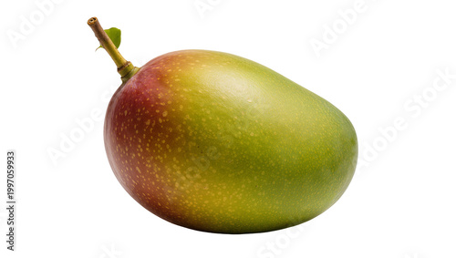 Ripe green and red Mango with stem close-up