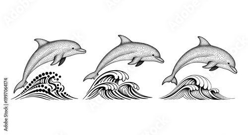 Three leaping dolphins in a row over stylized ocean waves, black and white illustration
