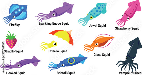 Colorful Squid Vector Set Featuring Various Species with Unique Colors and Patterns for Marine Life and Underwater Creature Illustrations