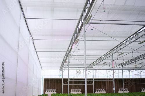 Strawberry at vegetable production greenhouse.