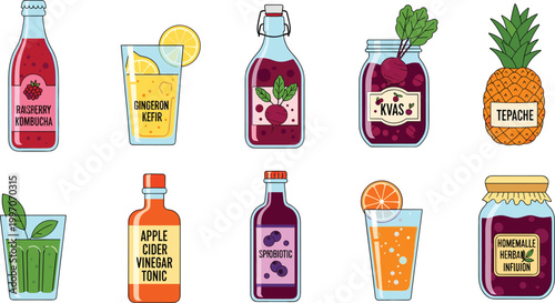 Healthy Drink Vector Set Featuring Kombucha, Herbal Tonics, Fruit Juices, and Refreshing Natural Beverages in Glass Bottles for Wellness Illustrations
