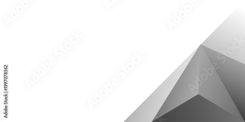Abstract white and gray triangle background. texture white pattern. vector illustration