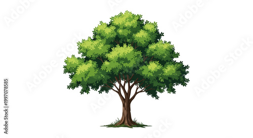 Large Green Tree with Thick Trunk.