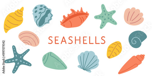 Colorful seashells and starfish set with Seashells lettering in flat vector style. Cute marine elements isolated on white background perfect for beach summer and ocean designs.