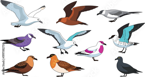 Seagull and Dove Vector Set Featuring Flying and Perching Birds with Various Plumage Patterns for Nature and Wildlife Illustrations