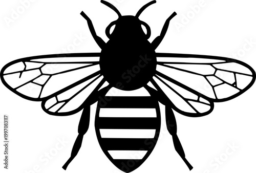 A simple black and white vector illustration of a honeybee from a top-down perspective showing clear wing patterns and a striped abdomen