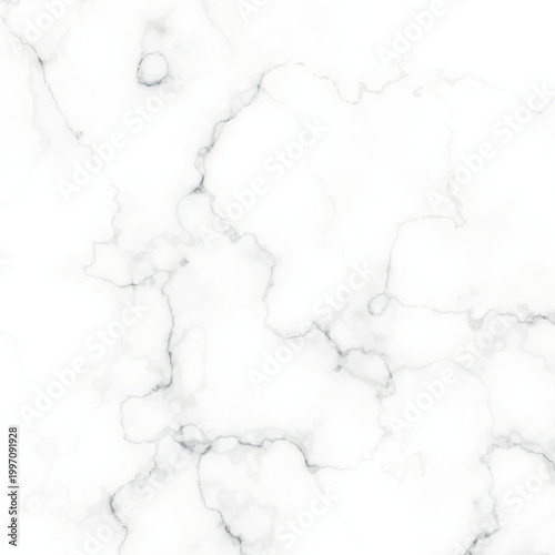 White marble texture with gray veins