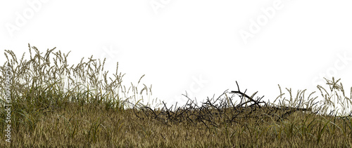 Grass grows in patches on a hillside with some twigs scattered throughout the landscape. scene shows an open area with bright light coming from above. 3d render