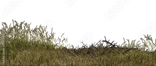 Panel kuchenny z motywem Grass grows in patches on a hillside with some twigs scattered throughout the landscape. scene shows an open area with bright light coming from above. 3d render