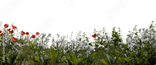 field displays red and white flowers surrounded by green grass and various plants. flowers stand tall under bright daylight, creating a vibrant outdoor scene. 3d render