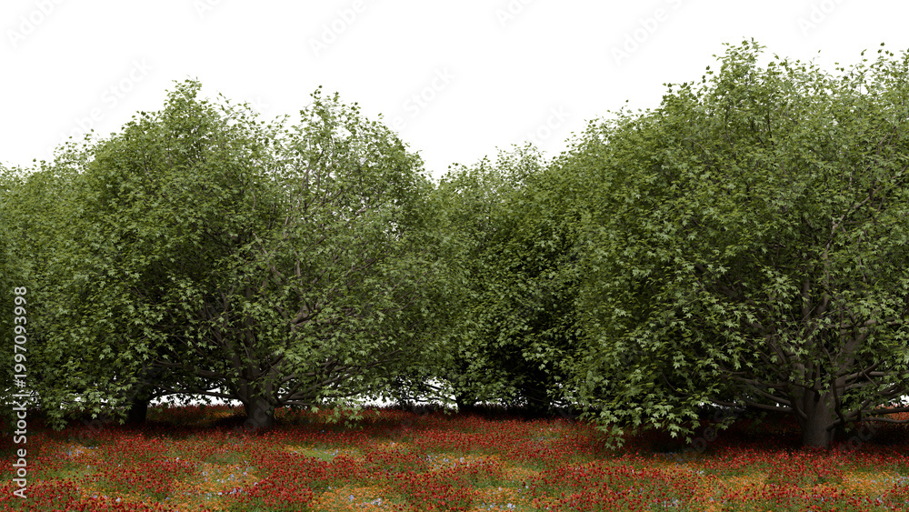 Fototapeta premium collection of green trees stands tall in a natural setting. Red flowers cover the ground beneath the trees. Bright daylight shines on the scene, creating a simple view of nature. 3d render