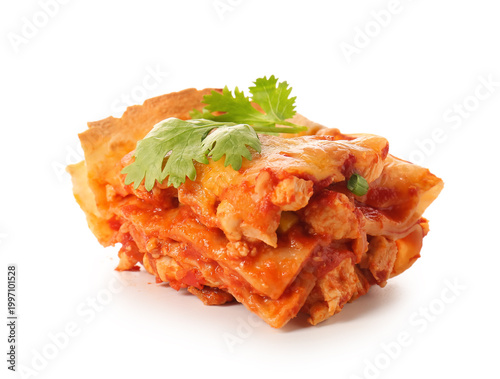 Piece of tasty enchilada on...