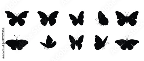 butterflies Flying silhouette black set. butterflies vector collection. Use for graphic design, web and mobile app.