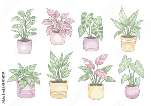 Collection of eight potted houseplants with pastel-colored leaves and pots