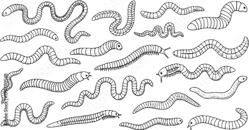 Foto Earthworm and Centipede Doodle Pattern: Hand-Drawn Insects, Nature's Critters