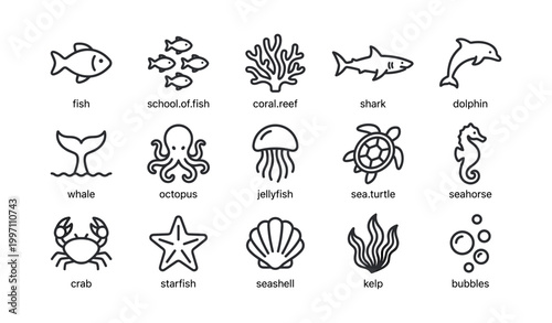 Marine life line icons arranged in labeled grid on white background