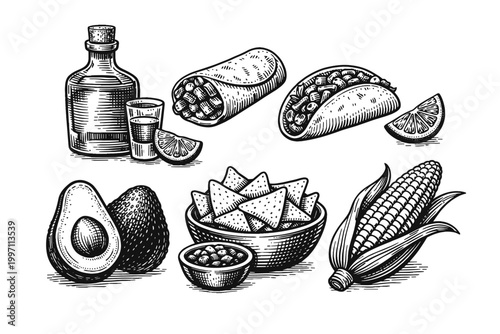 Hand Drawn Vintage Woodcut Style Mexican Food and Drink Collection with Illustrations of Tequila Bottle, Shot, Lime, Taco, Burrito, Nachos, Salsa, Avocado, and Corn on the Cob Vector Set
