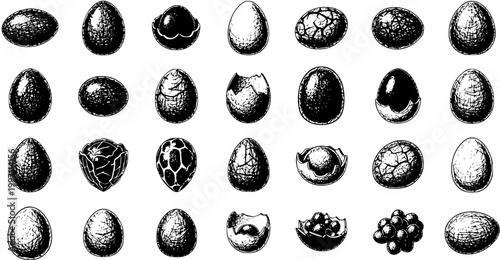 Canvastavla Diverse Collection of Dragon Eggs: Hand-Drawn Hatching, Cracked, and Intact Illu