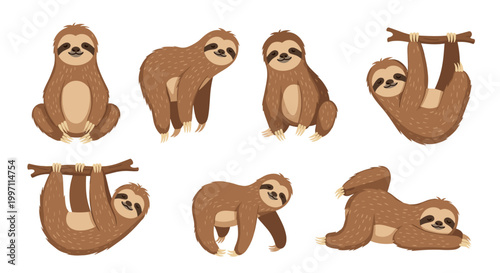 A set of cute sloth illustrations in various poses and hanging from branches