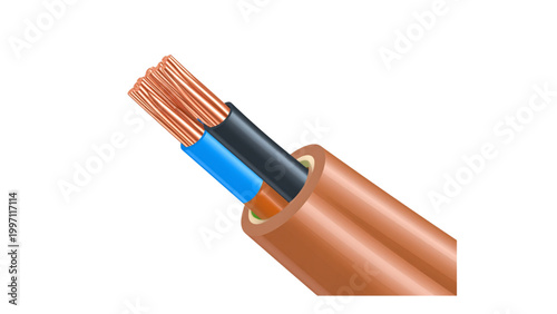 Insulated copper electrical cable with blue and orange protective sheathing Vector