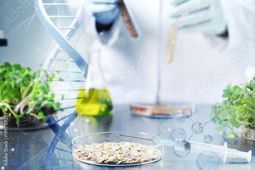 Tableau sur toile Syringe and Petri dish on table, scientist working with samples