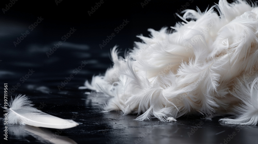 Fototapeta premium Pile of white ostrich feathers from stage outfit soaked in water and stuck to black glossy floor with high contrast and intricate textures in luxury fashion setting