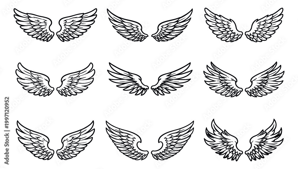 Fototapeta premium Hand drawn line art wings set featuring various stylized feather designs for emblem and tattoo designs