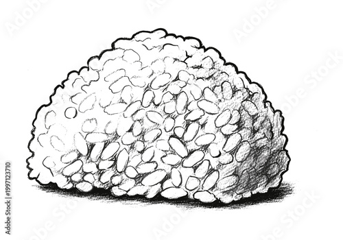 Sketch of a mound of rice grains, hand-drawn with charcoal texture